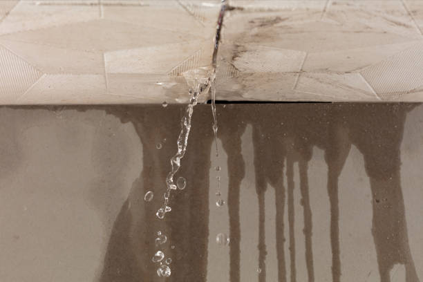 Professional Burst Pipe Cleanup technician working in Orange City, IA